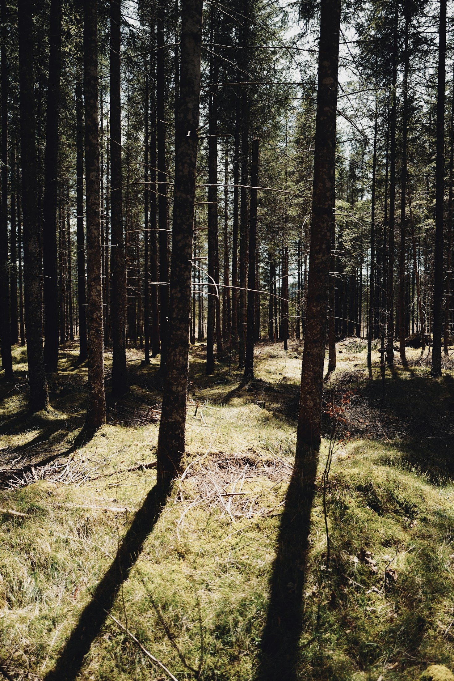 Hvordan vælger man den rigtige jagtbeklædning?